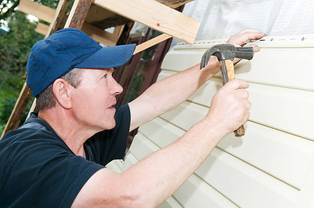 Best Wood Siding Installation  in Live Oak, FL